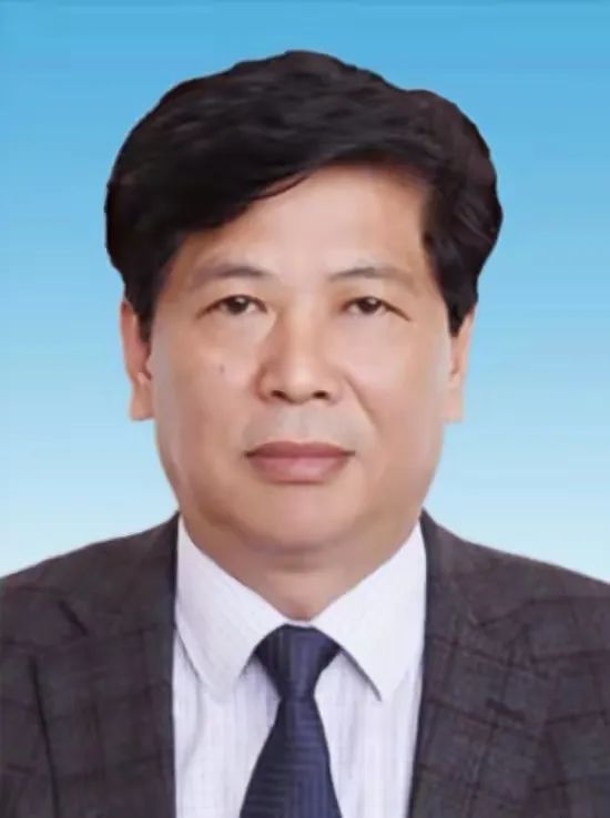 王宗成判刑,王宗成案件最新进展