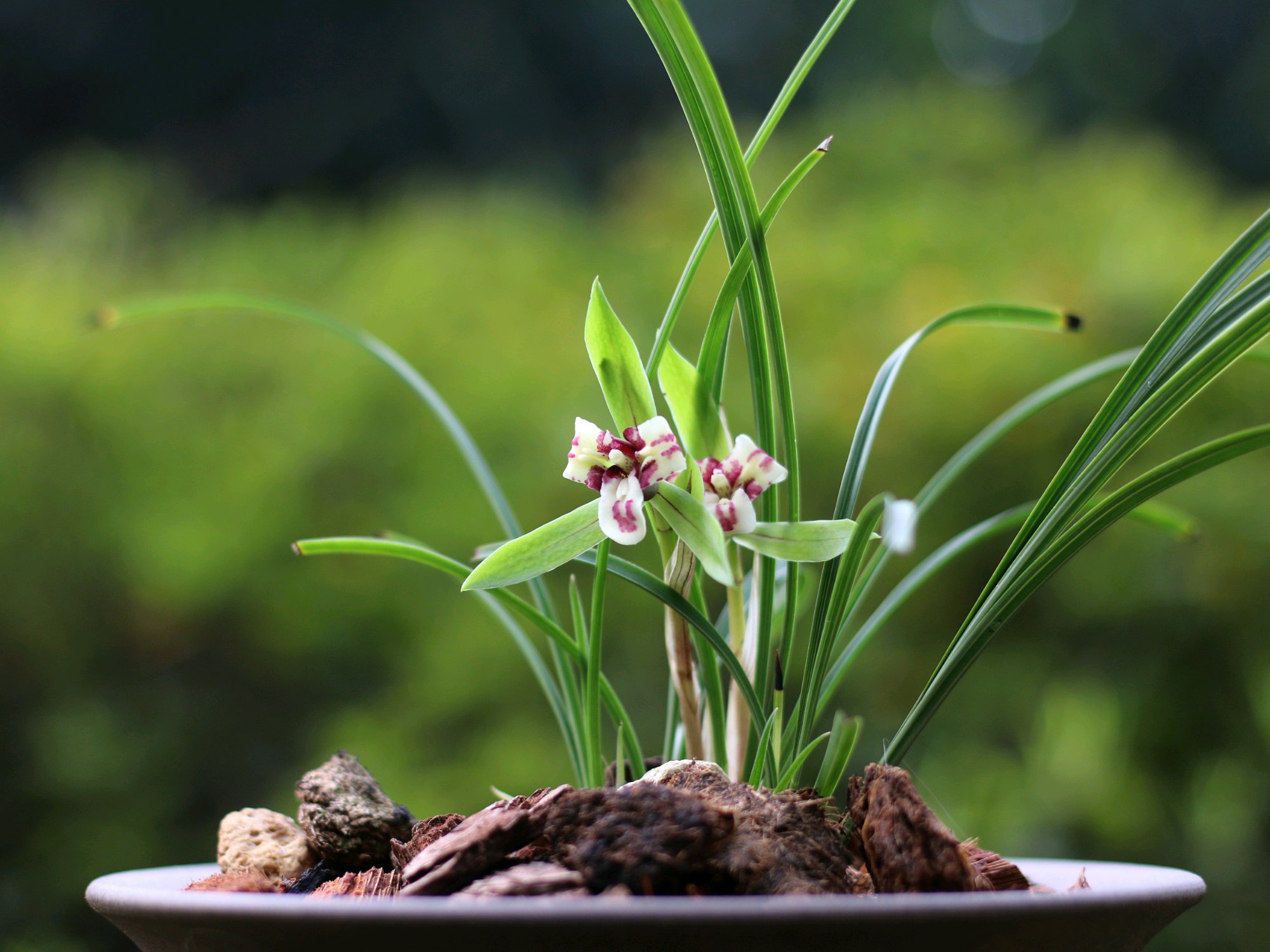 亲戚朋友随礼标准,亲戚之间关系再好随礼要讲究细节