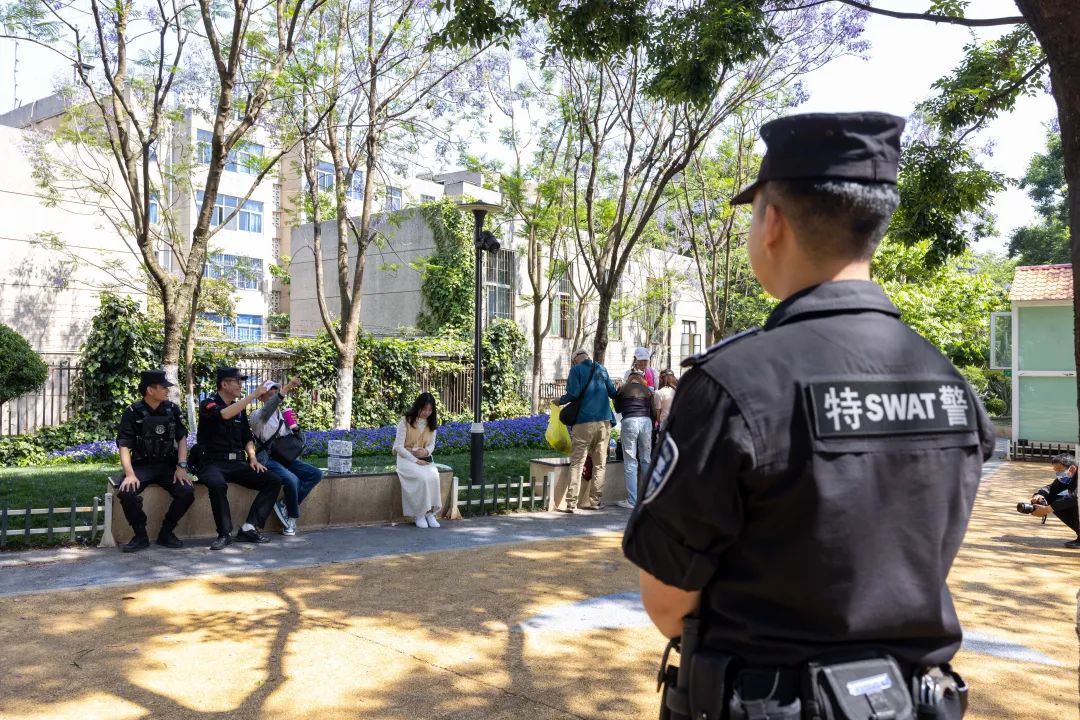 芸儿美美美美美,美美美美美美美英文