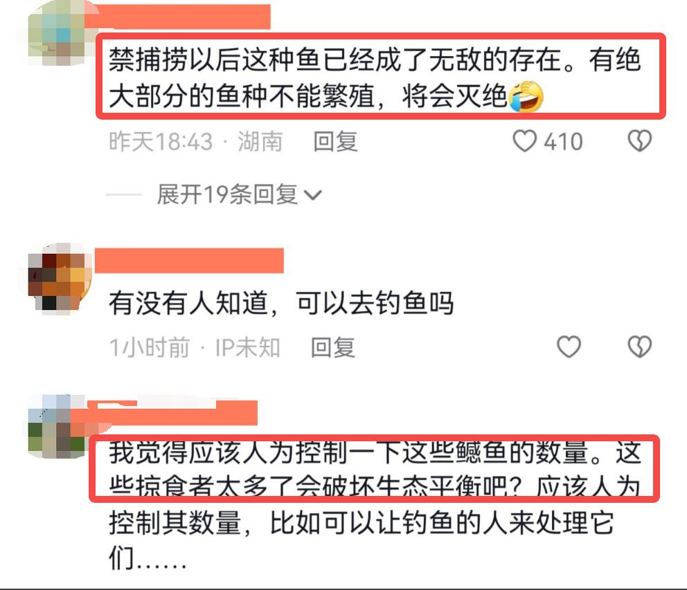 三峡水坝大鱼横行,三峡区出现大量水老虎