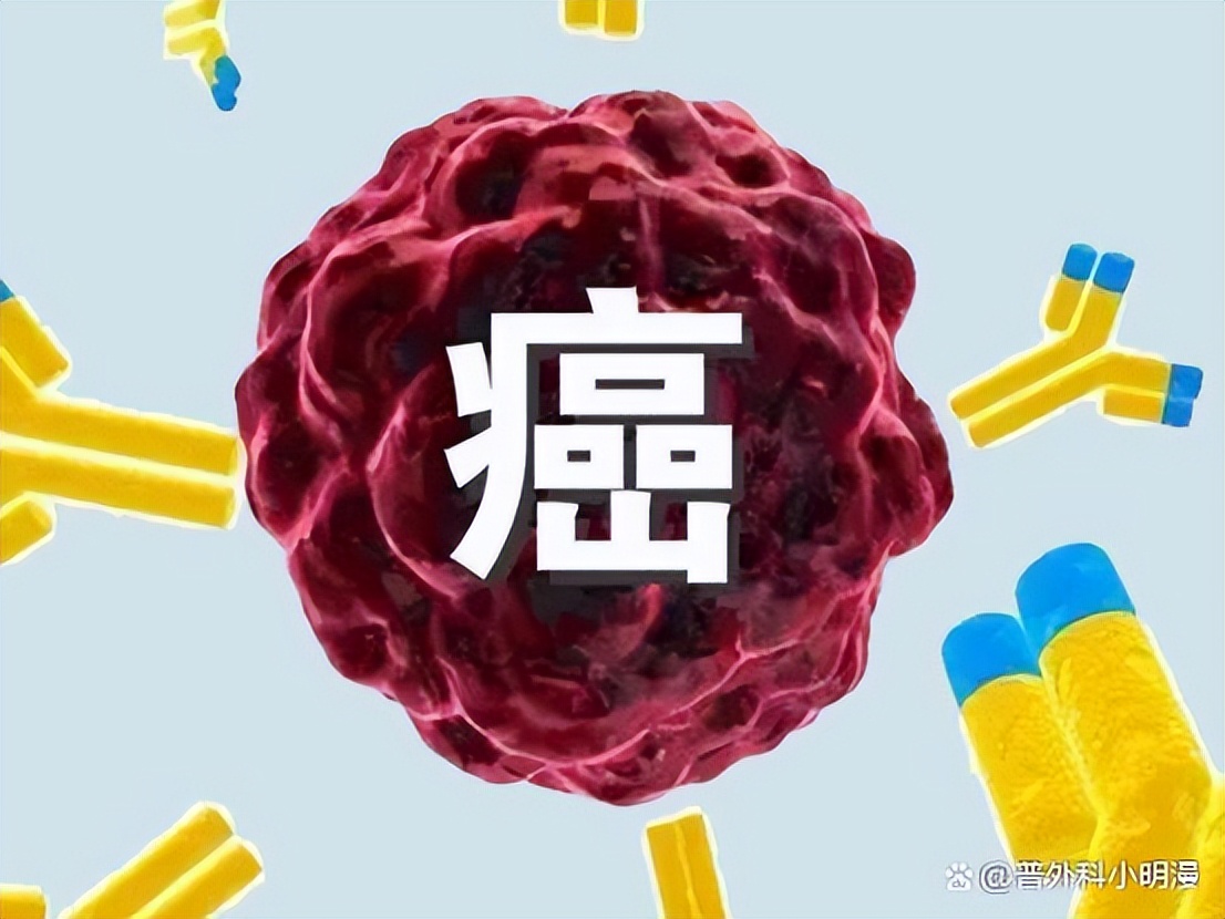 乳腺癌靶向治疗时能同时喝中药吗,乳腺癌靶向治疗和化疗可以一起吗