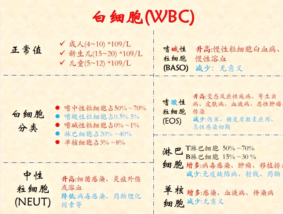 血常规报告怎么解读,血常规报告视频解说