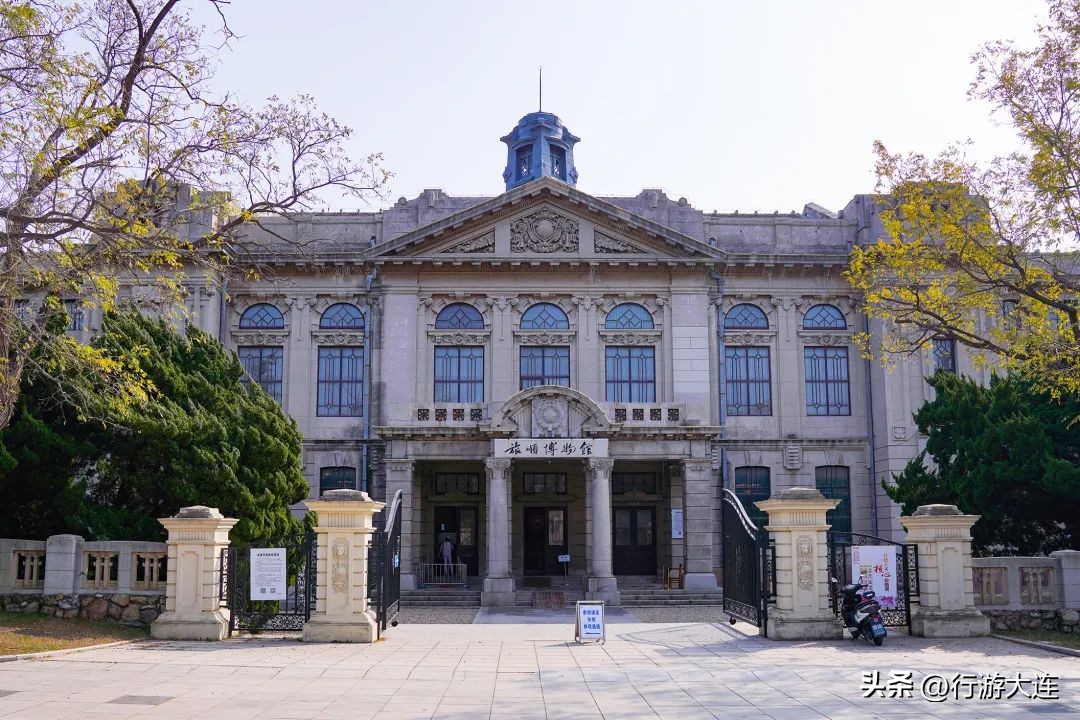 漫步银杏海~大连最美秋日在这里