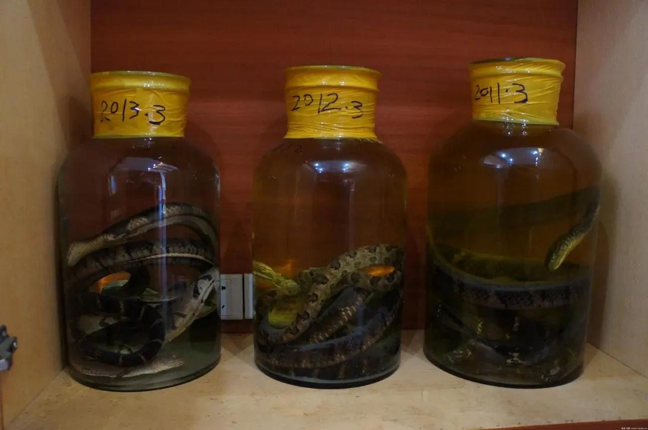 毒蛇咬自己手下视频,毒蛇咬自己尾巴会被毒死