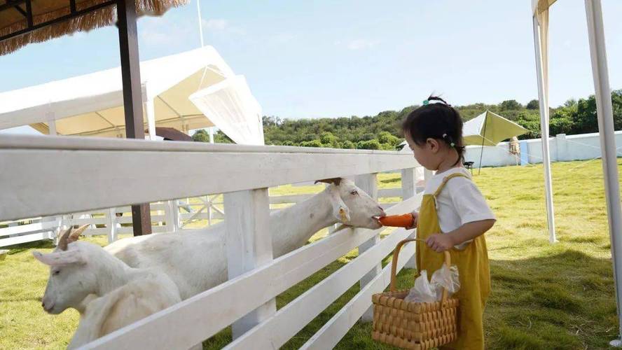 小区儿童娱乐项目创业,儿童娱乐活动项目有哪些
