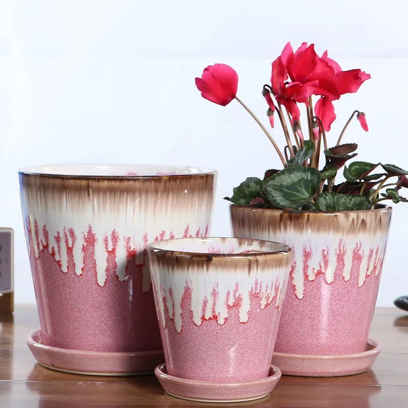 养花用陶瓷盆还是紫砂盆好,塑料盆和陶盆的优缺点