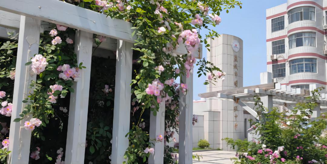 盐城市明达中学高三,盐城市明达高级中学高三解压活动