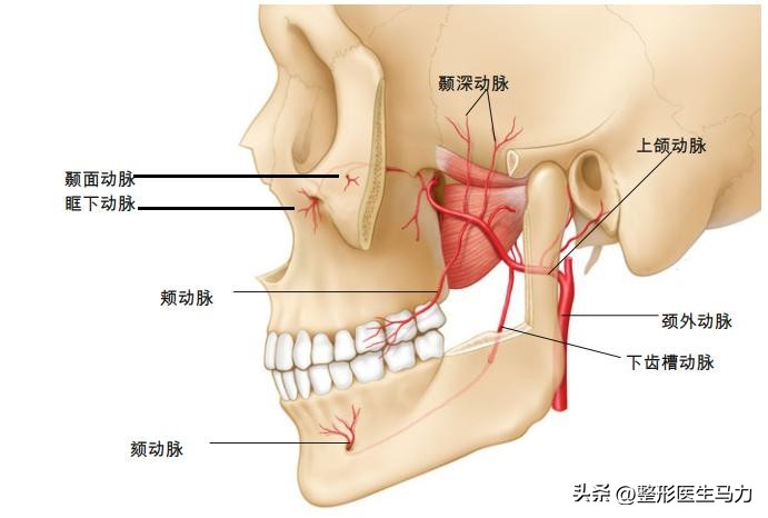 三甲医院注射玻尿酸都没事吧,三甲医院的医生注射玻尿酸专业吗