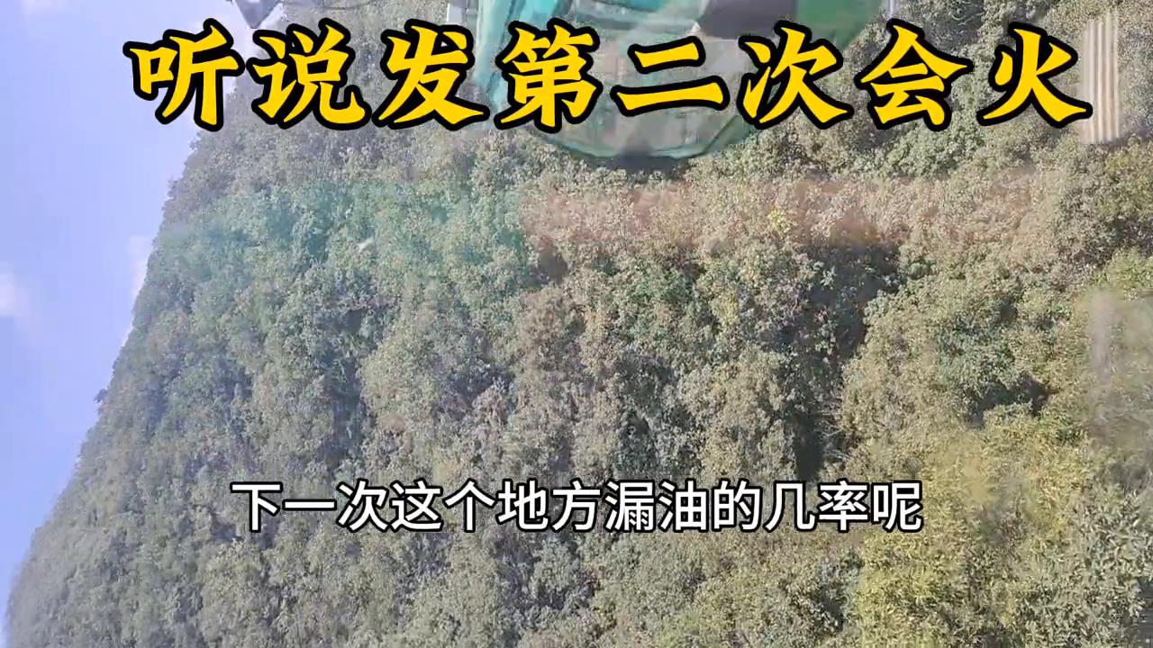 山清水秀自然美旗舰店直播,平塘风景区旅游自驾攻略