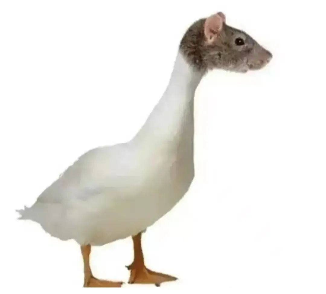 高校食堂允许私人承包一个档口吗,高校食堂承包黑幕