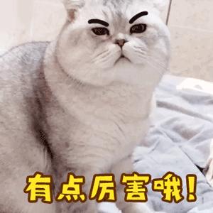 放疗有百分之几概率能治好,放疗做一期有意义吗