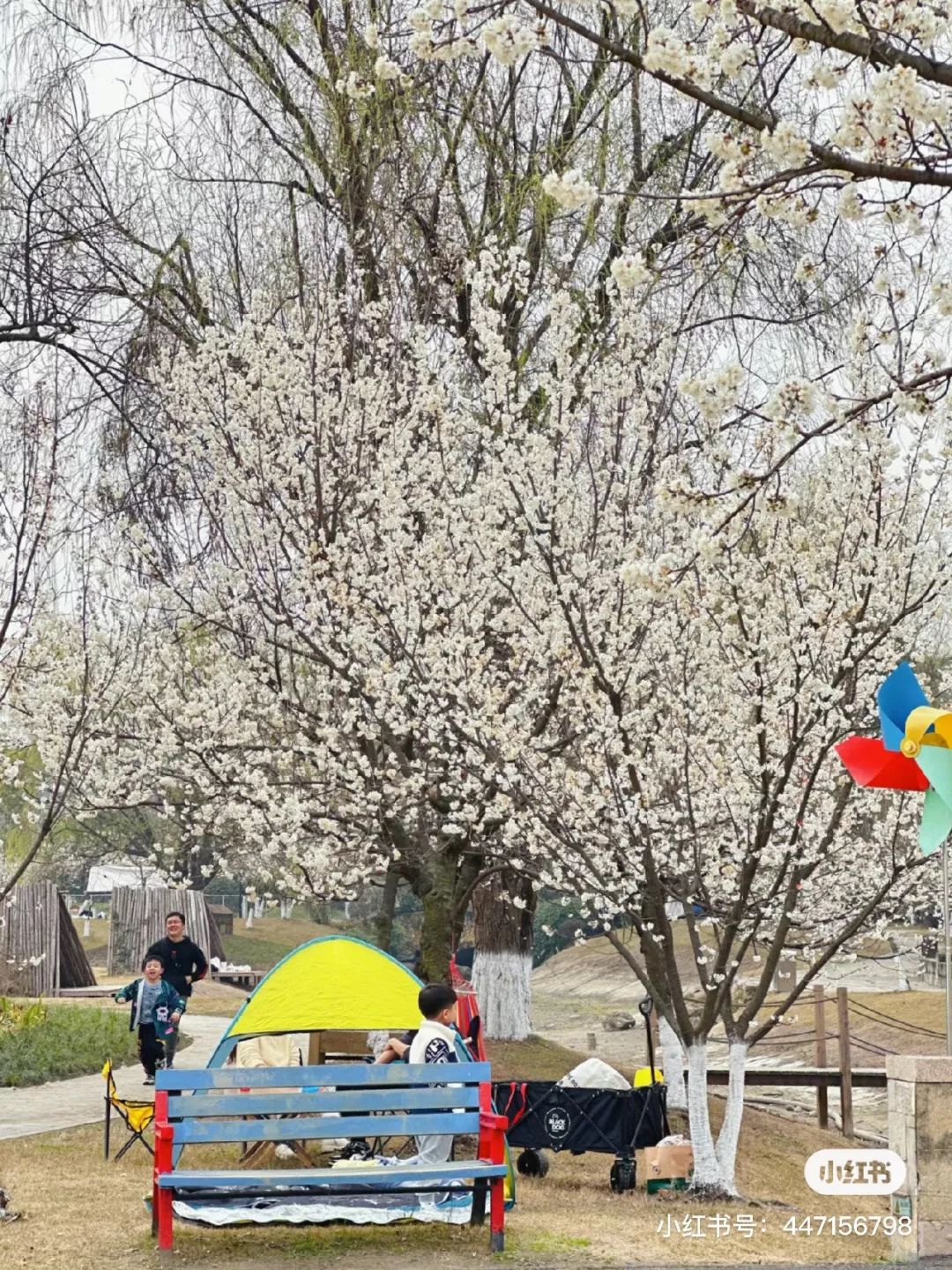 成都有哪些公园值得一去,成都必去的公园排行榜最新名单