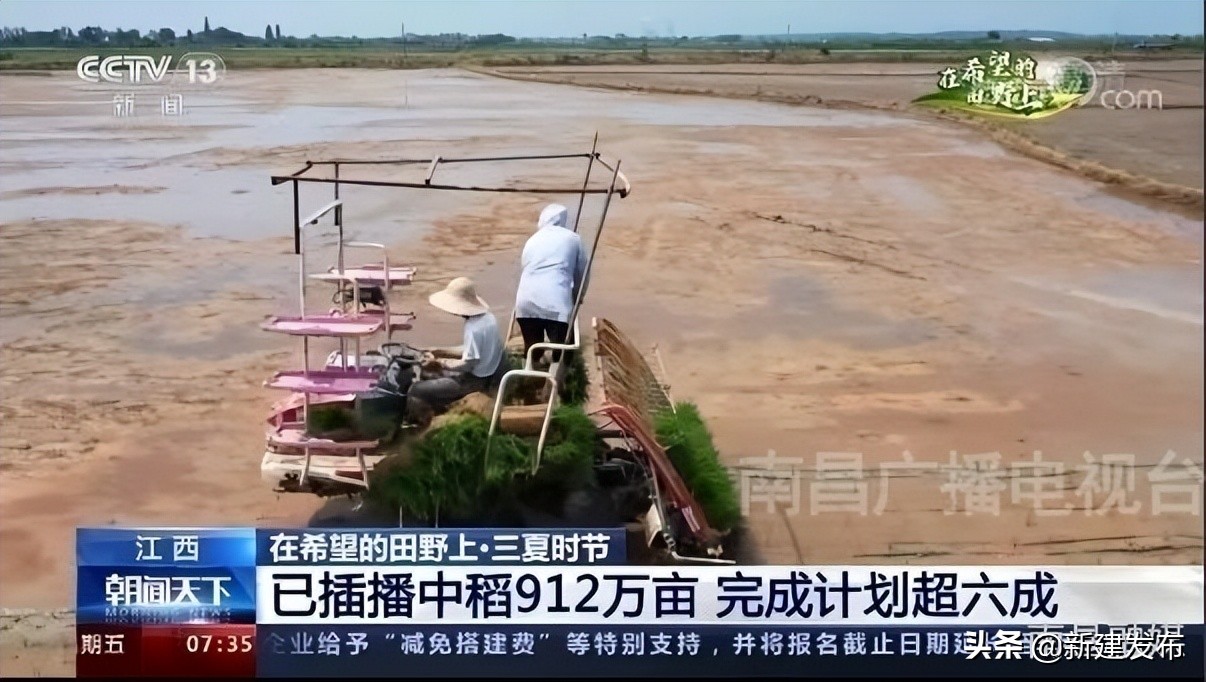 央视《朝闻天下》和《新闻直播间》关注新建区中稻栽播