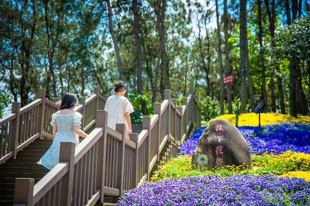 黄湾小镇避暑民宿,黄冈民宿自驾游