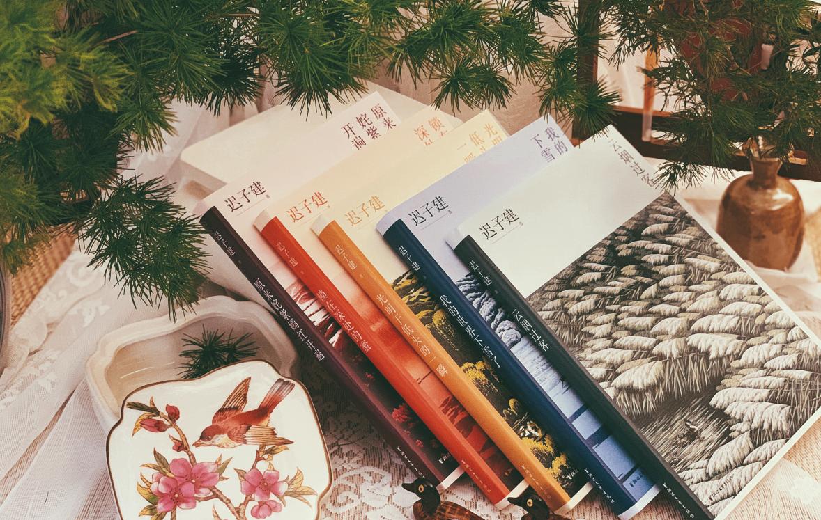 迟子建小说的爱的主题,迟子建的散文爱