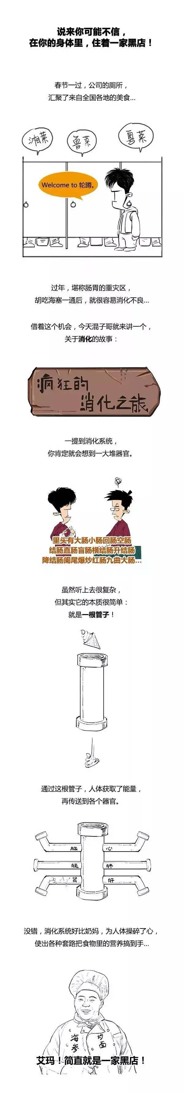 人体食物消化整个过程图,食物在体内的消化过程真实视频