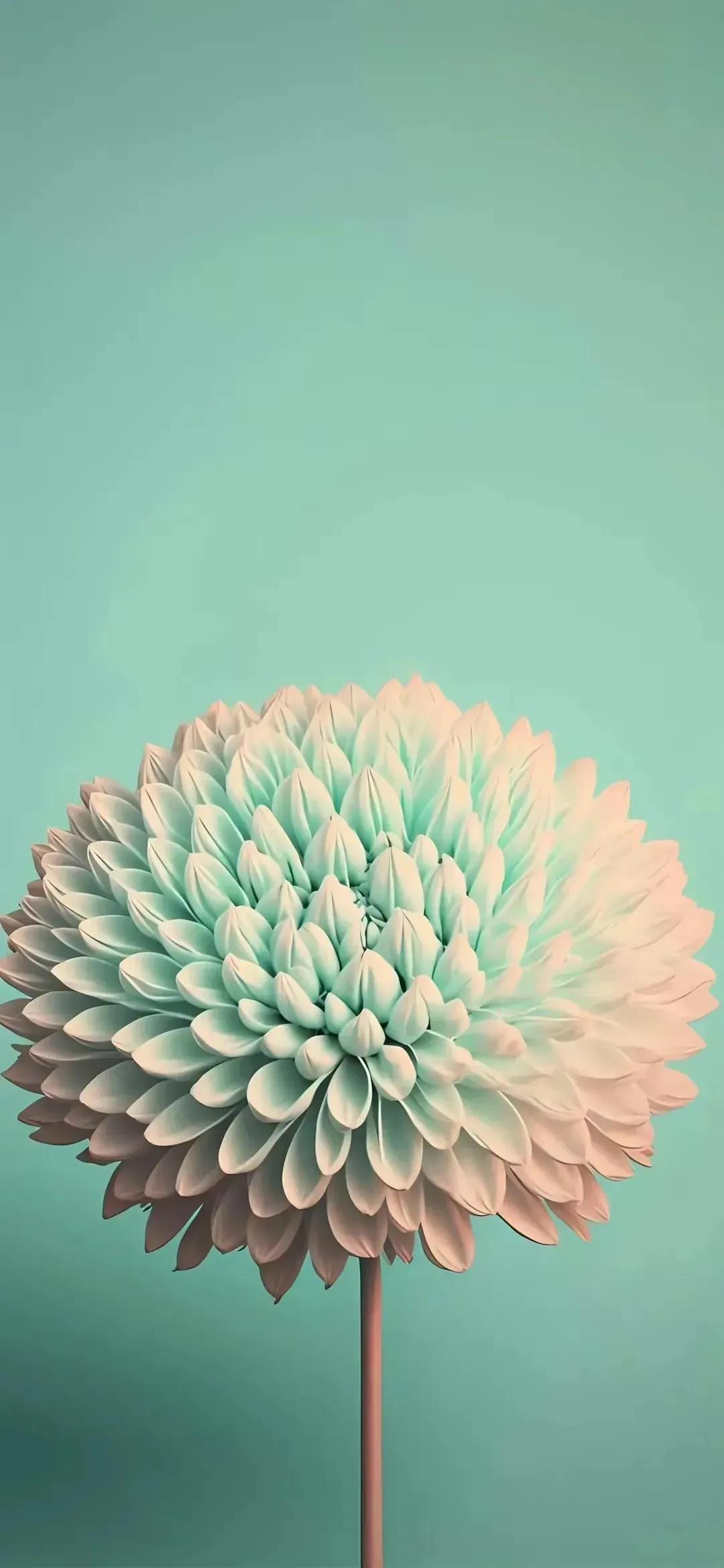 手机锁屏壁纸高清全屏可保存照片,可保存的高清手机壁纸全屏无水印