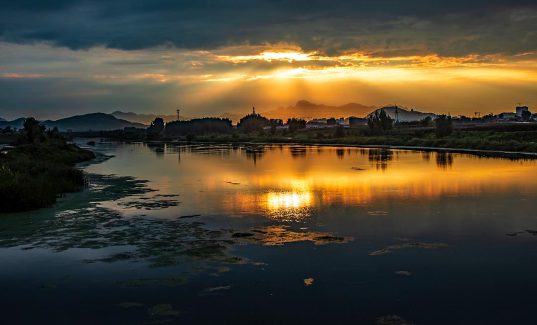 秦皇岛鸽子窝最佳观鸟地点,秦皇岛观鸟时间