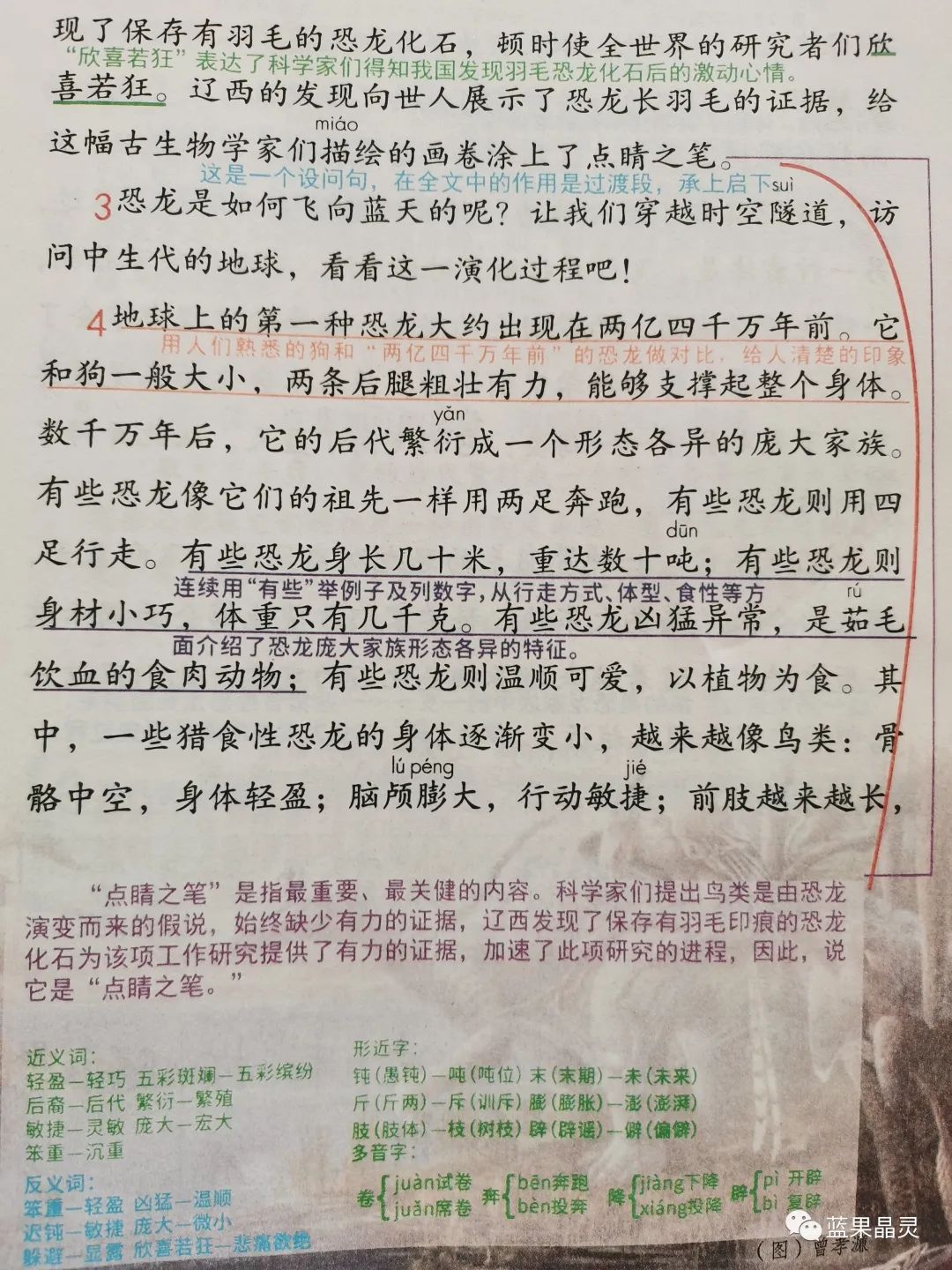 四下语文:第2单元课本内容(复习+练习)