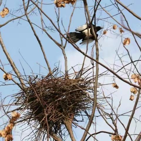 段治卿2022仲秋闲言碎语集