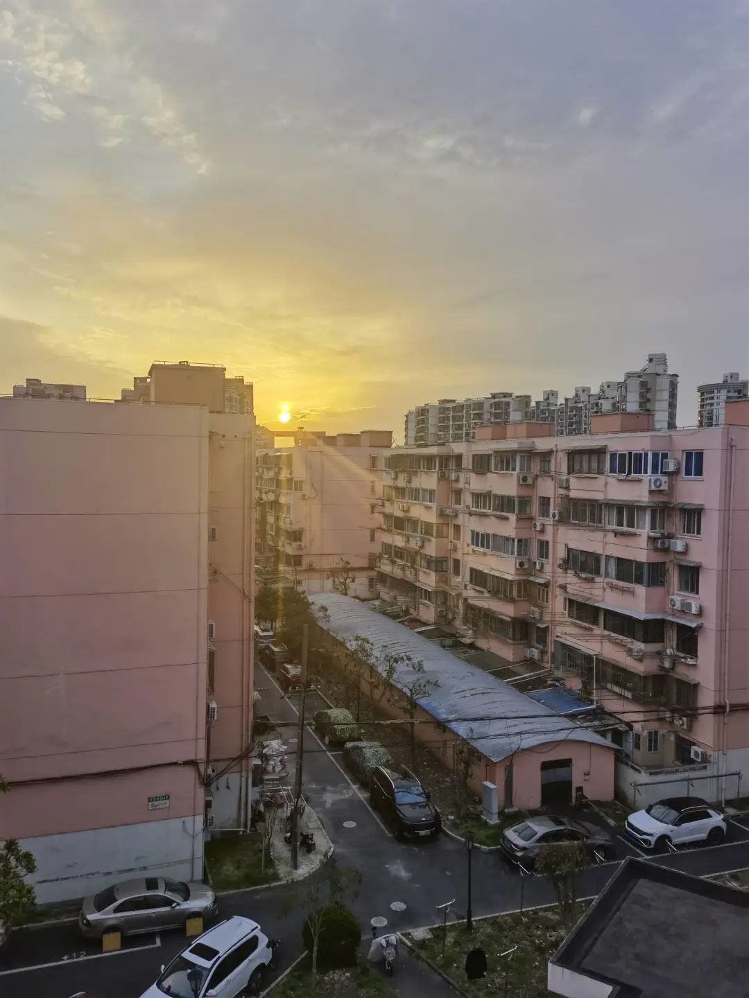 错过了一个秋天,错过了一个春秋