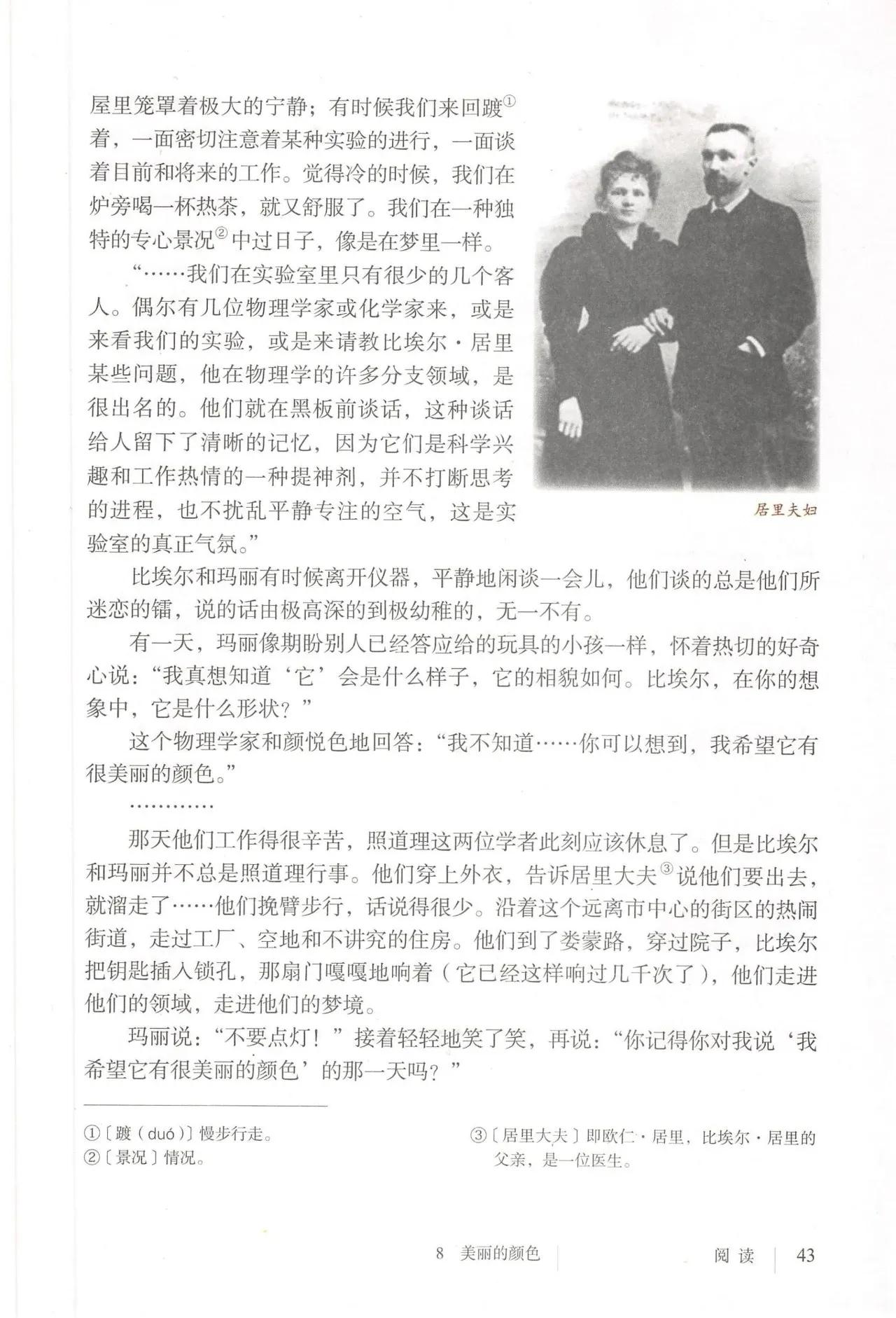 语文八年级上册电子书人教版2021,八年级上册语文书人教版电子2021