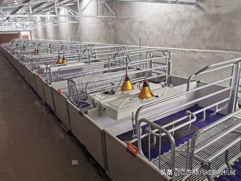 洛阳欧式母猪保育一体产床,漯河欧式母猪保育一体产床
