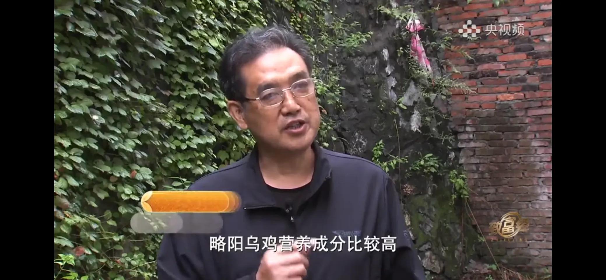 10万多只鸡养鸡场一年能挣多少,回村搞农业养殖一只鸡卖一万