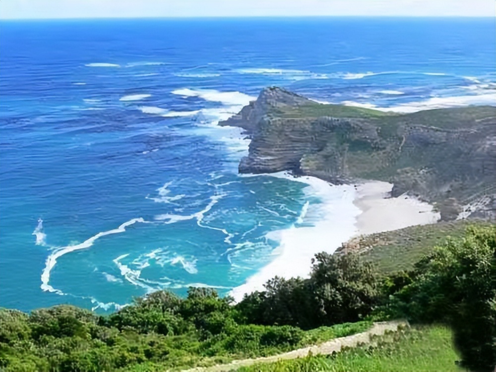 比较容易养的三湖鲷鱼,推荐几款适合新手饲养的观赏鱼