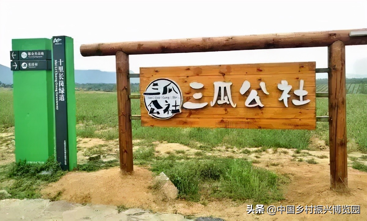 全国高校乡村振兴活动案例,乡村振兴巾帼行动优秀案例