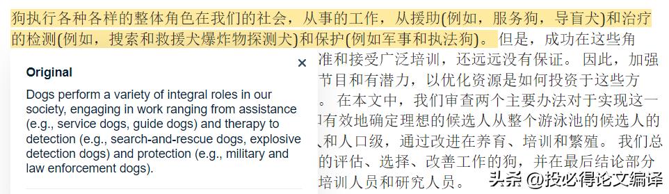 比谷歌翻译更准确的软件,谷歌实时翻译神器