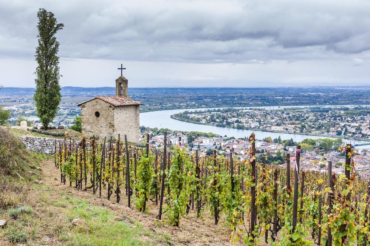 请说出5个法国葡萄酒产区名称,简述中国葡萄酒的主要产区及名品