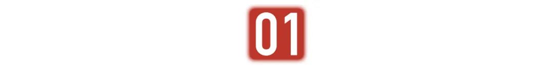 太火了，杨紫琼都没这浣熊有人气