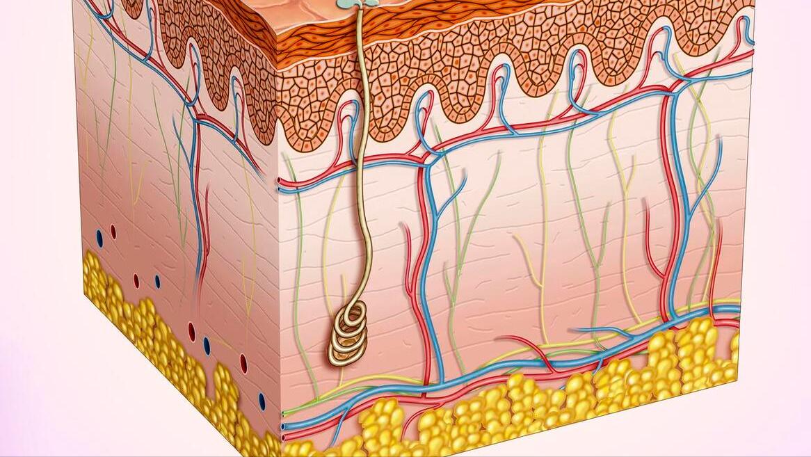 脚后跟起皮粗糙干裂涂维生素e,脚后跟干裂吃维生素b12行吗