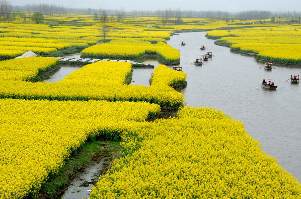 兴化城里钓鱼的地方,兴化钓鱼的地点有哪些景点