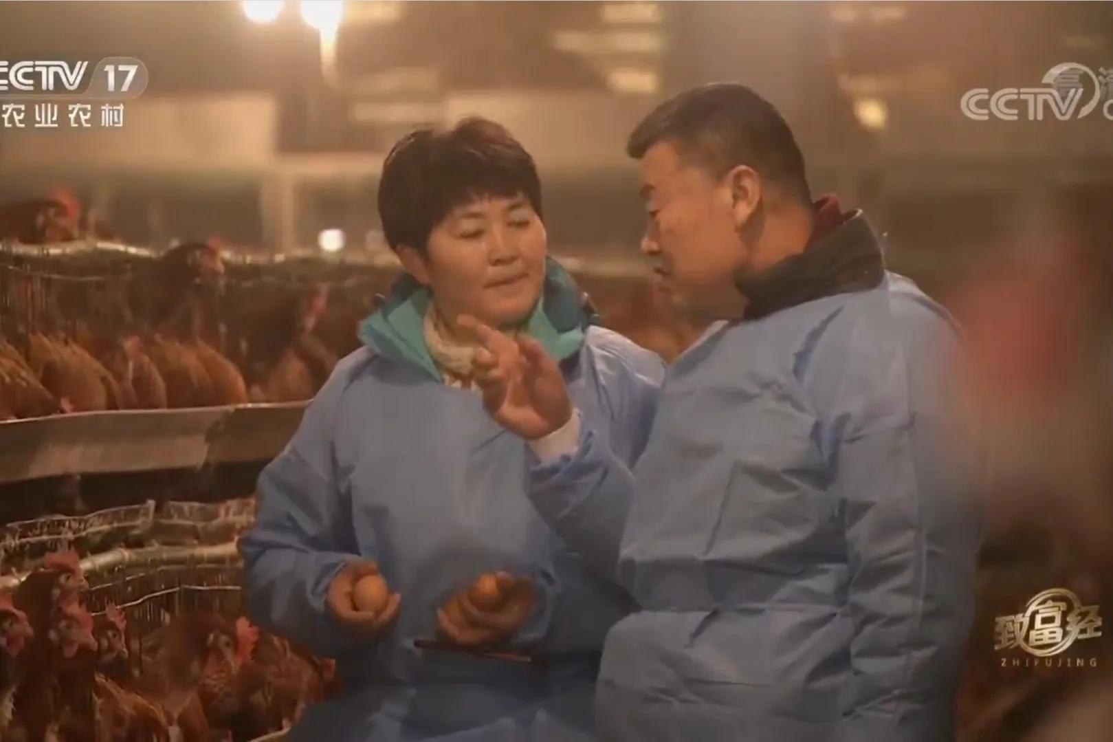 承包荒山致富的例子,美女承包52亩山地