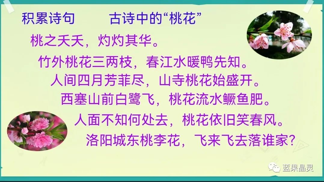 四下语文:第2单元课本内容(复习+练习)