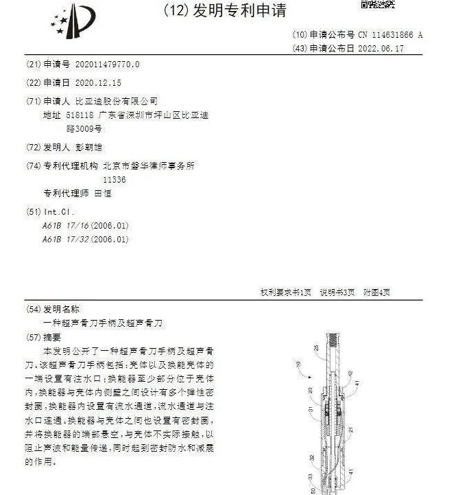 国家对比亚迪的政策,比亚迪可以反制美国吗