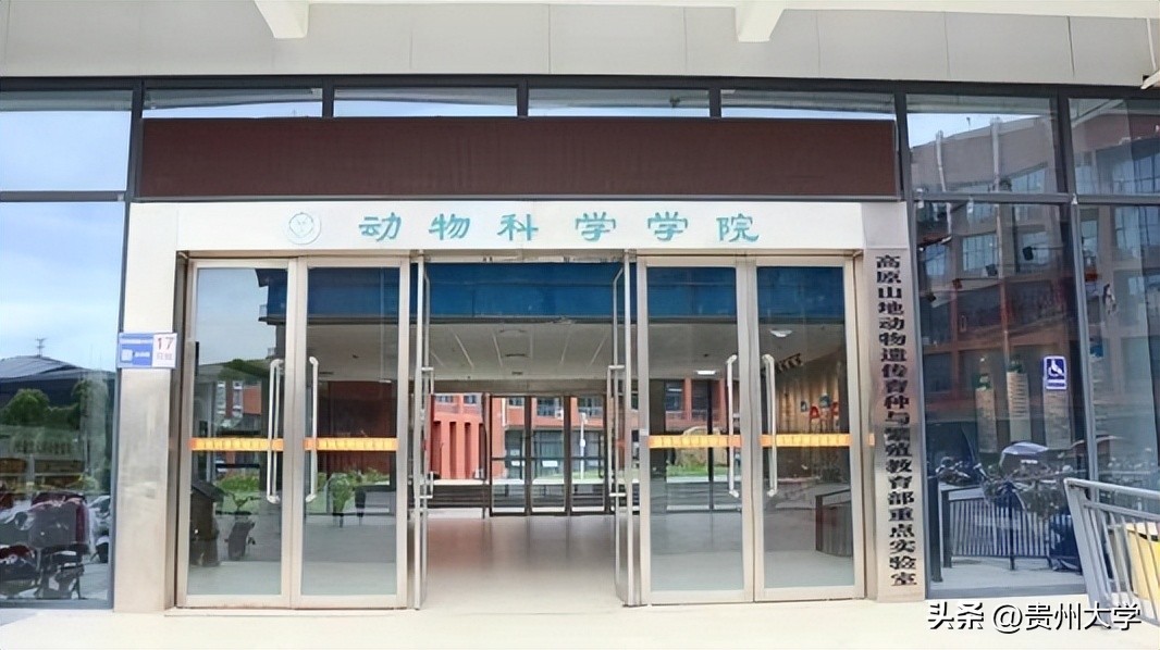 璐靛ぇ瀛﹂櫌,璐靛ぇ鏈鍗囧