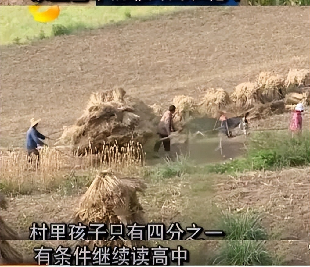 变形计最清醒女孩现在怎么样了,13年前变形计中的孩子已长大