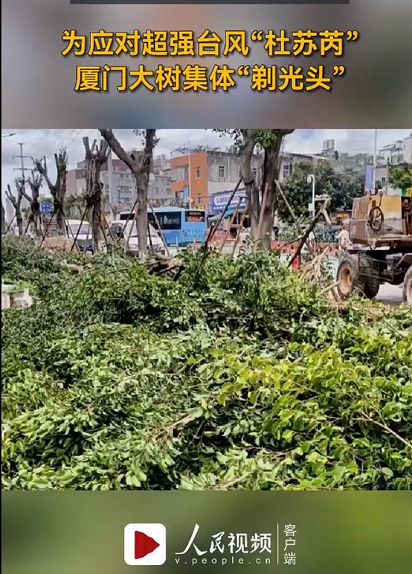 一家餐饮店,竟成了防洪抗台风先进单位