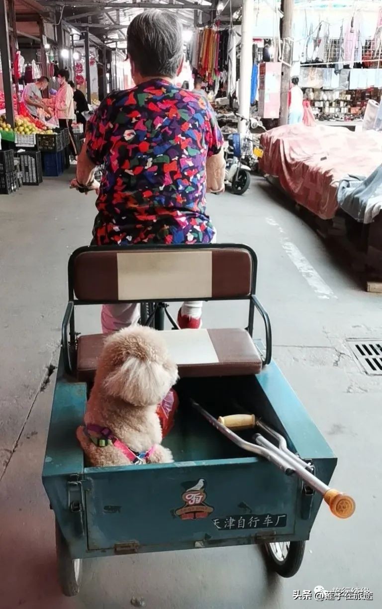 84岁老妈的146天，从大腿骨折到康复，见证了老妈坚强的意志力