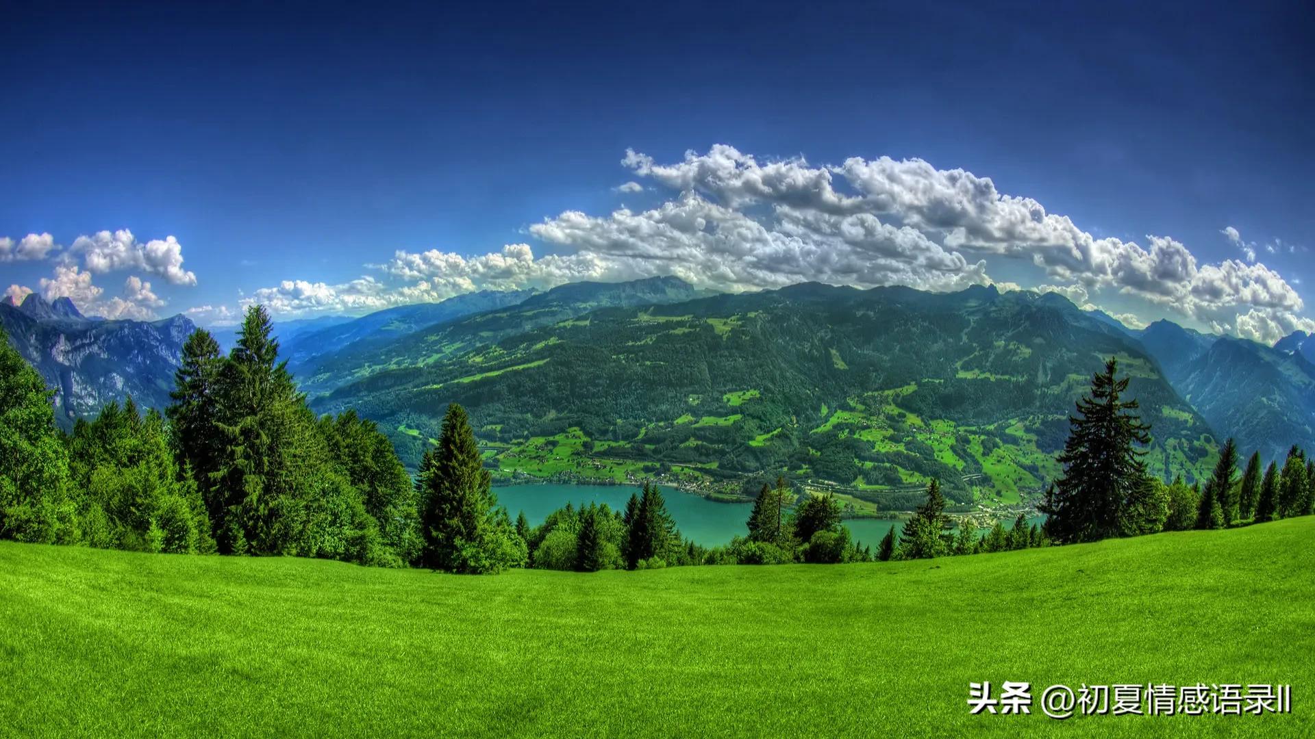 今日经典语录感悟人生文案大全,2024年关于人生感悟的热门文案