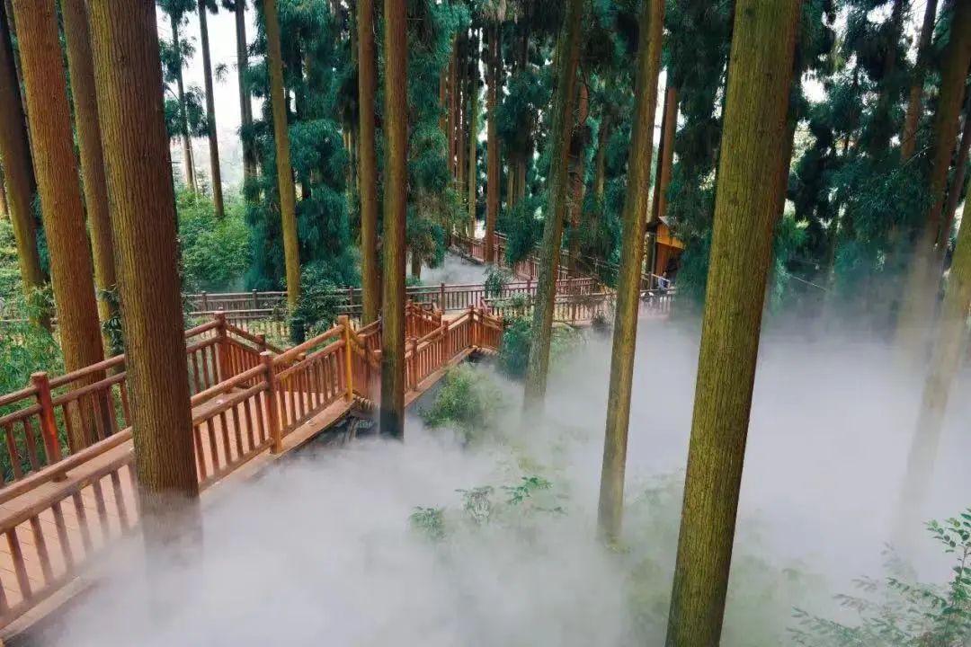 四川最美五个县,四川50个最美的地方