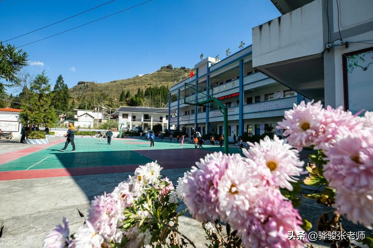 郑州金水前十名重点小学,郑州市金水区小学排名一览表最新