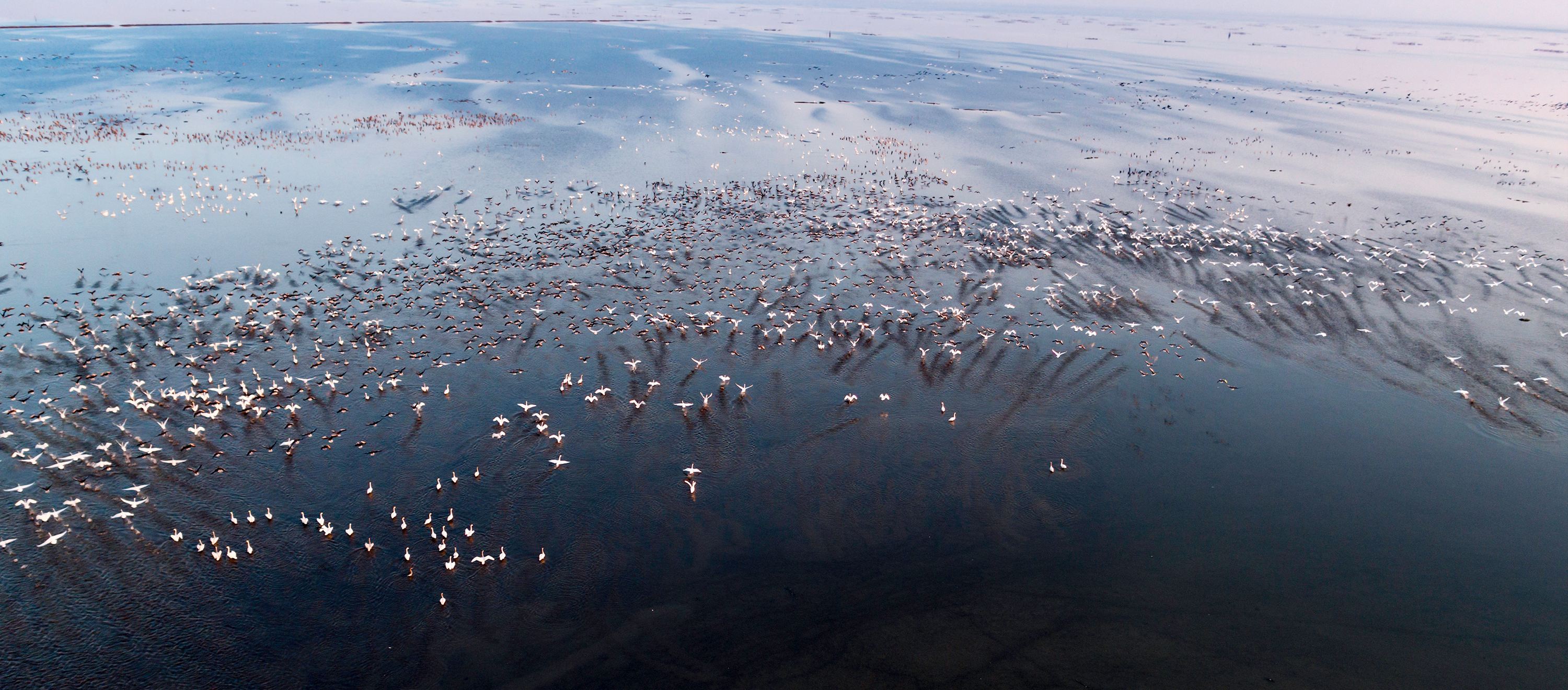 沁园春长沙教学设计特色说明,沁园春长沙教学设计详案