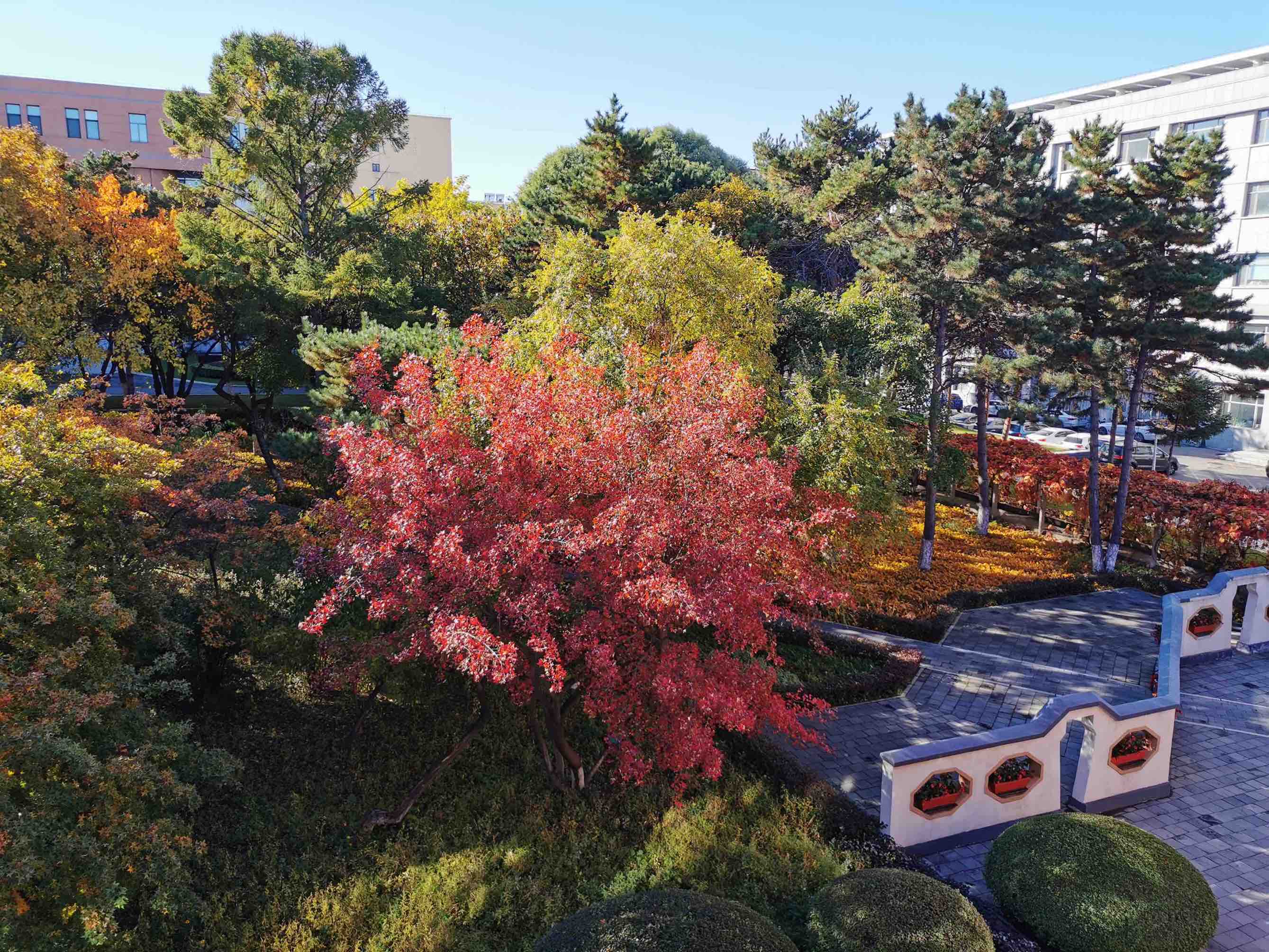 中科院长春应化所冉祥海,中科院长春应化所专业目录