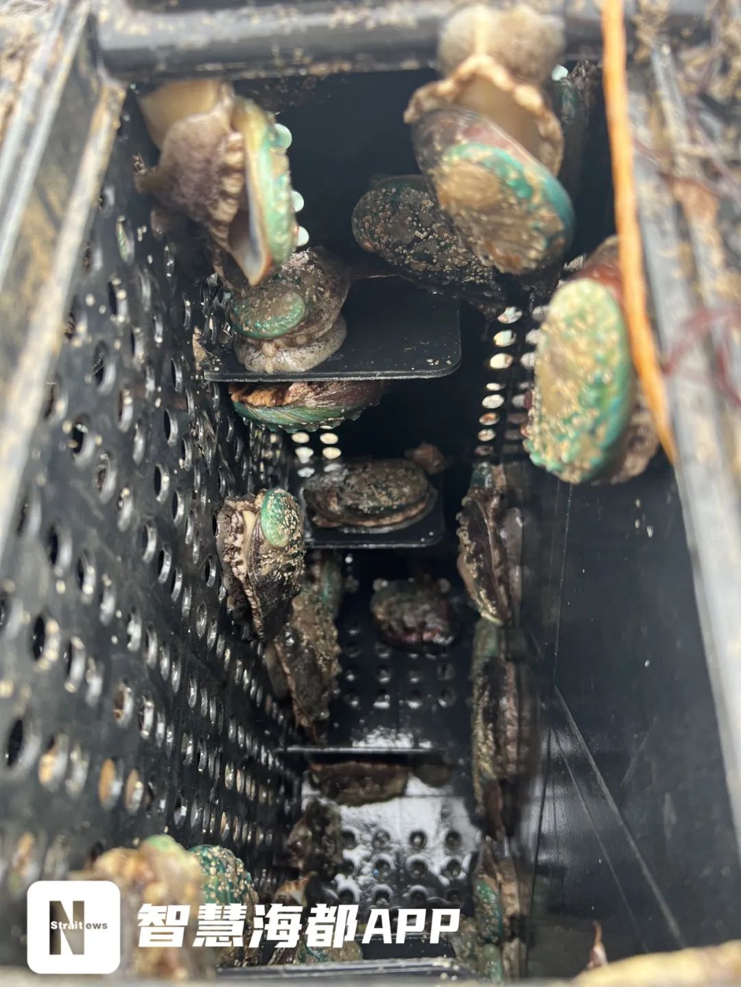 定了！马上开始！