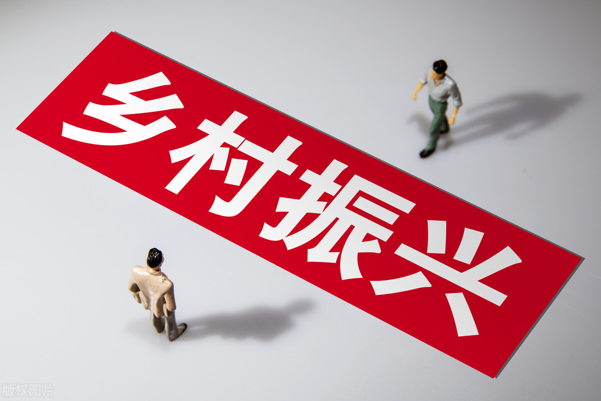 乡村振兴政策扶持项目有哪些,乡村振兴扶持的项目有哪些