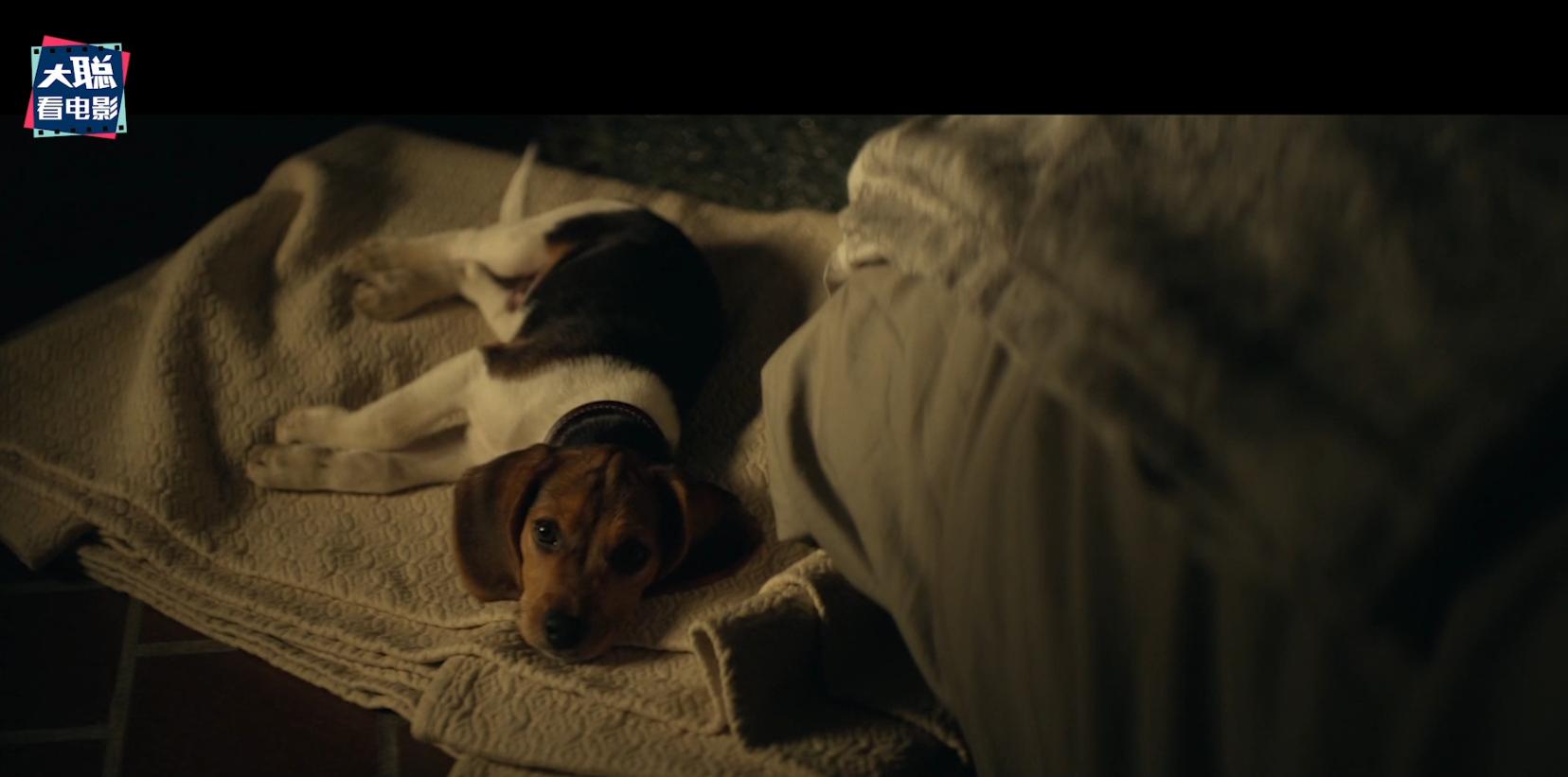 疾速追杀4甄子丹60帧,疾速追杀4甄子丹打斗片段完整版